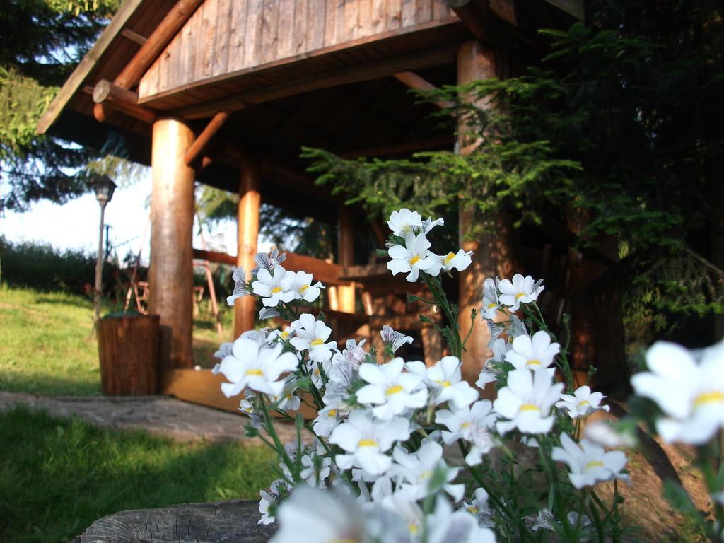 Willa Na Bani - Apartamenty I Pokoje Rabka Exterior foto